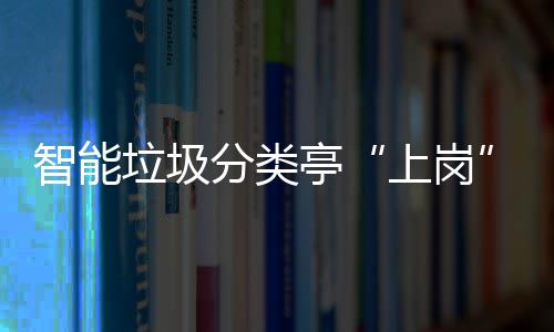 境智能分类垃圾环境和生人居亭提升态环上岗