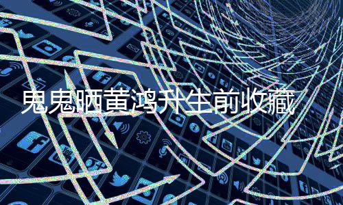 鬼鬼文思眠发 凌鸿升友念故晨失晒黄生前收藏